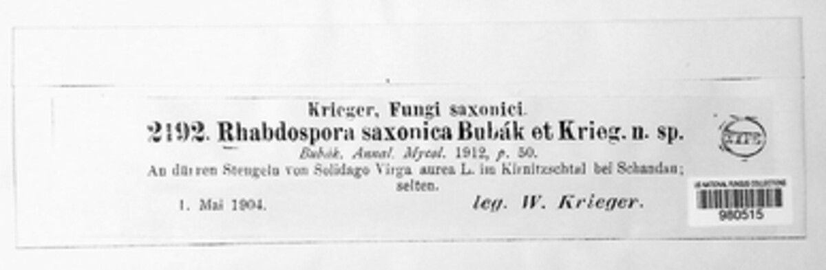 Rhabdospora saxonica image